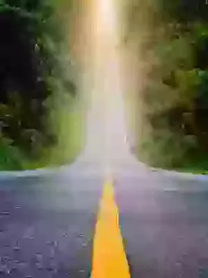 Week 2 - Sunday 1st March